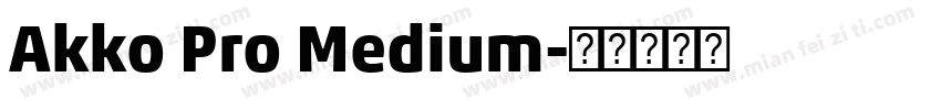 Akko Pro Medium字体转换
